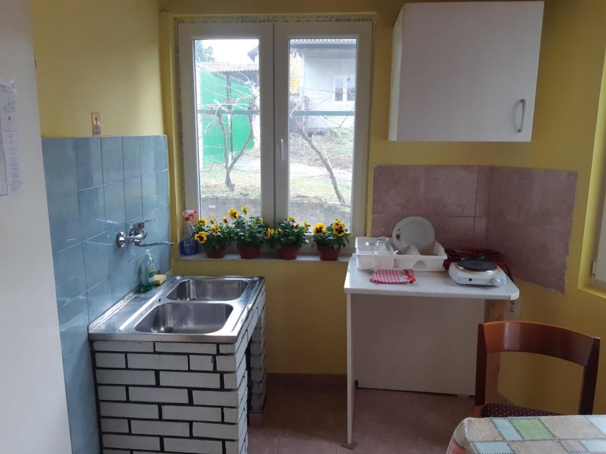 Apartman Novi Sad - Apartment Novi Sad Sremska Kamenica Exterior foto